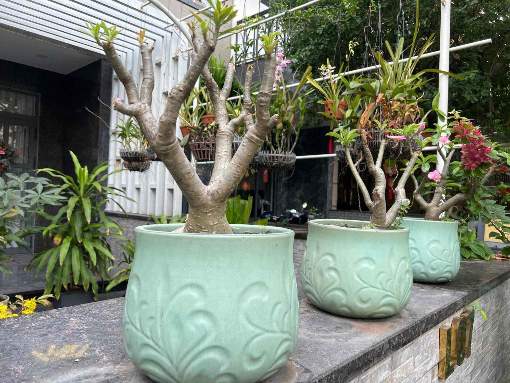 Home Resort With Full Amenities Bandar Ho Chi Minh Luaran gambar